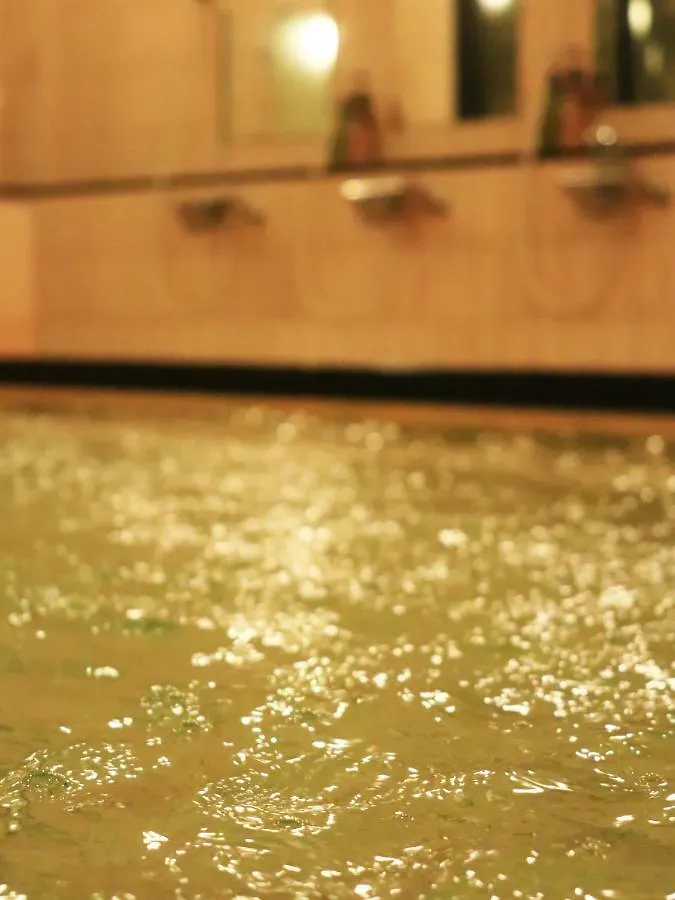 Izumiya Ryokan Kyoto